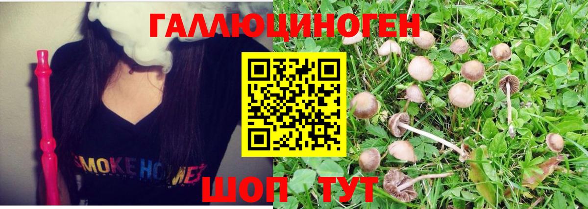 Киреевск  Псилоцибиновые грибы мицелий  Псилоцибиновые грибы Magic Shrooms  Вход с VPN 